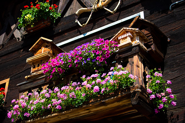Vecchio maso in Val Senales